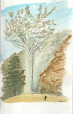 old post office – neville st